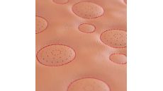 Multifunkčný stroj Texi SP System