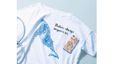 Disney vinylový štartér kit pre plotre Brother SDX