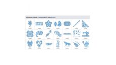 Čipkové vzory Karta 04 pre plotre Brother