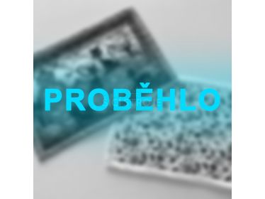 Praha 20.6. - Kurz šitie - prestieranie a ako na dokonalé rohy?