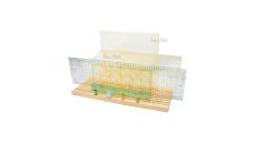 Drevený stojan na pravítka DW-WR01