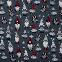 French Terry Print Brushed - Vintage Gnomes, Grey