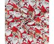 French Terry Print Brushed - Snowman, Off White