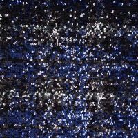 Spangles Check - Royal/Black