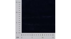 Castorini - Navy