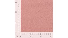 Castorini - Rose