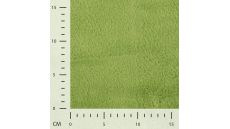 Castorini - 023