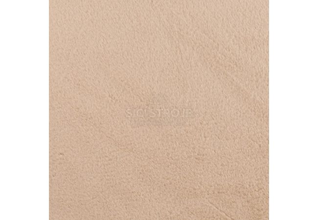 Castorini - Camel