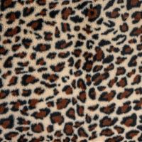 Fancy Fur Leopard - Leopard, Sand