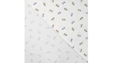 Cotton/EA Jersey Print - Cars, Ecru
