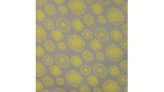 Cotton/EA Jersey Print - Compass, Khaki
