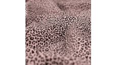 Cotton/EA Jersey Print - Poudre