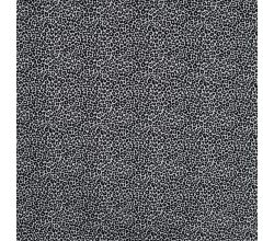 Cotton/EA Jersey Print - Ecru