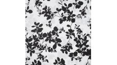 Cotton Poplin 40/1 - Ecru