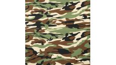 Cotton Poplin 40/1 - Khaki