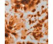 French Terry Print - Coppercoin