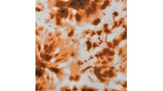 French Terry Print - Coppercoin