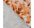 French Terry Print - Coppercoin