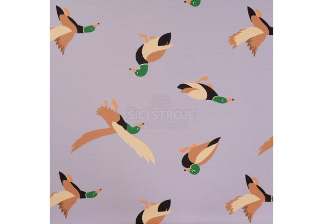 French Terry Print - Ducks, Dusty Lilac