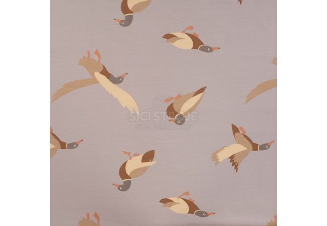 French Terry Print - Ducks, Sand