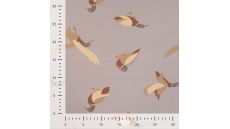 French Terry Print - Ducks, Sand