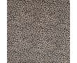 French Terry Print - Sand