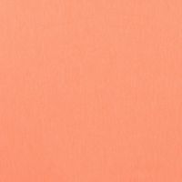 French Terry Neon Uni - Orange Neon