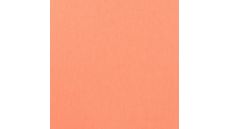 French Terry Neon Uni - Orange Neon