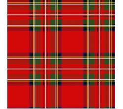 Cute Fleece Print - Checks, Red