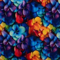 Alpenfleece Digital Print - Flowers, Multicolor