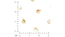 Bambino Digital Print - Pears, Ecru