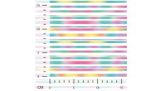 Bambino Digital Print - Fuchsia