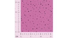 Bambino With Print & Foil - Fuchsuia