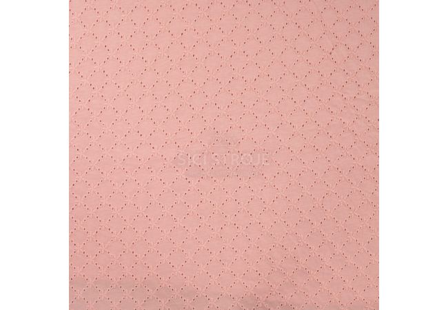 Cotton Jersey Embroidery - Poudre