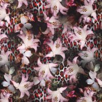 French Terry Digital Print - Lily, Red