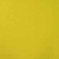 Soft Shell "Rainy" - Lime