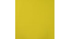 Soft Shell "Rainy" - Lime