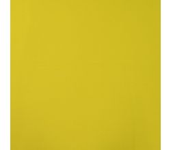 Soft Shell "Rainy" - Lime