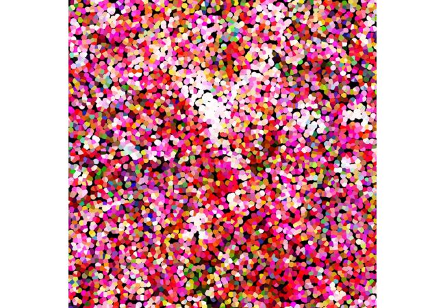 Soft Shell "Rainy" Print - Confetti, Fuchsia