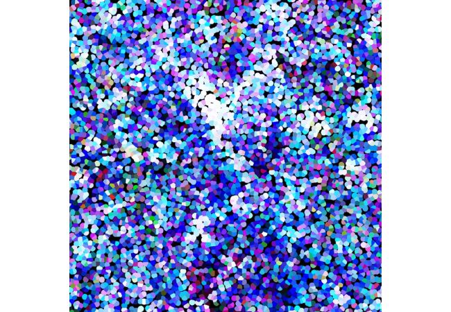 Soft Shell "Rainy" Print - Confetti, Royal
