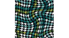 Soft Shell "Rainy" Print - Houndstooth, Bottle
