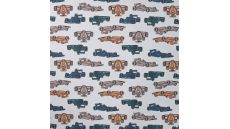 Soft Shell Digital - Race Cars, Caramel