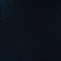 Raincoat Print Fleece - Black