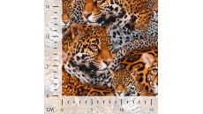 Half Panama Digital Print - Leopard, Black Orange
