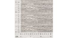 Cotton/EA Jersey - Stripe, Ecru