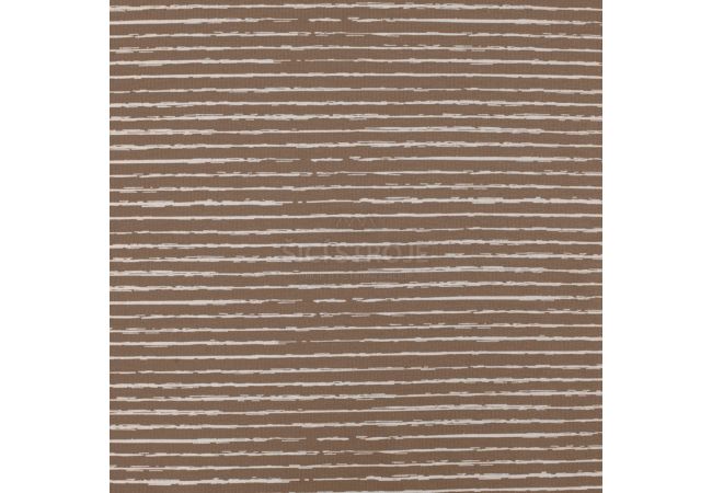 Cotton/EA Jersey - Stripe, Taupe