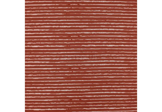 Cotton/EA Jersey - Stripe, Stone