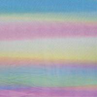 Soft Tulle Rainbow - Rainbow Stripe