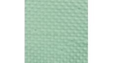 Minky - Mint
