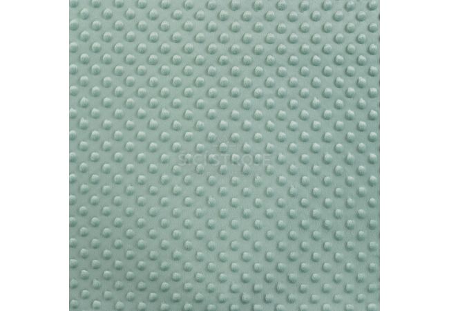 Minky - Pastel Mint